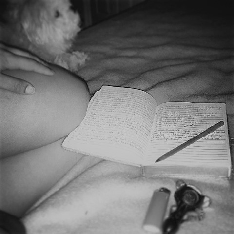 925268_1424359037835933_790425651_n